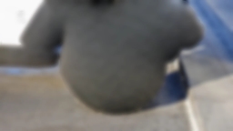 Jeep Wrangler Willys 4 Door 4x4 2026