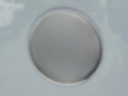 Jeep Wrangler Willys 4 Door 4x4 2026