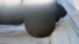 Jeep Gladiator Willys 4x4 2026