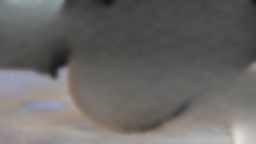 Ram 1500 Rebel 4x4 Crew Cab 5'7" Box 2026