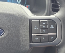 Ford F-150 Lightning Flash 4WD SuperCrew 5.5' Box 2025