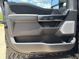 Ford Super Duty F-250 SRW Platinum 4WD Crew Cab 6.75' Box 2025