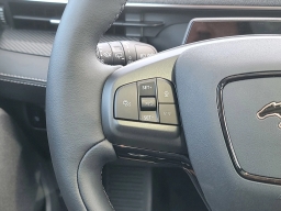 Ford Mustang Mach-E Premium RWD 2025