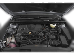 Toyota Camry XLE (Natl) 2026