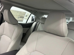 Toyota Camry XLE (Natl) 2026