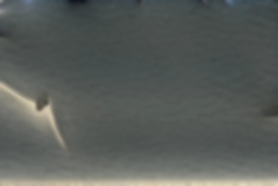 Land Rover Defender V8 130 P500 2025