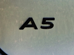 Audi A5 Premium Plus 2.0 TFSI quattro 2025