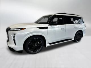 INFINITI QX80 SPORT AWD